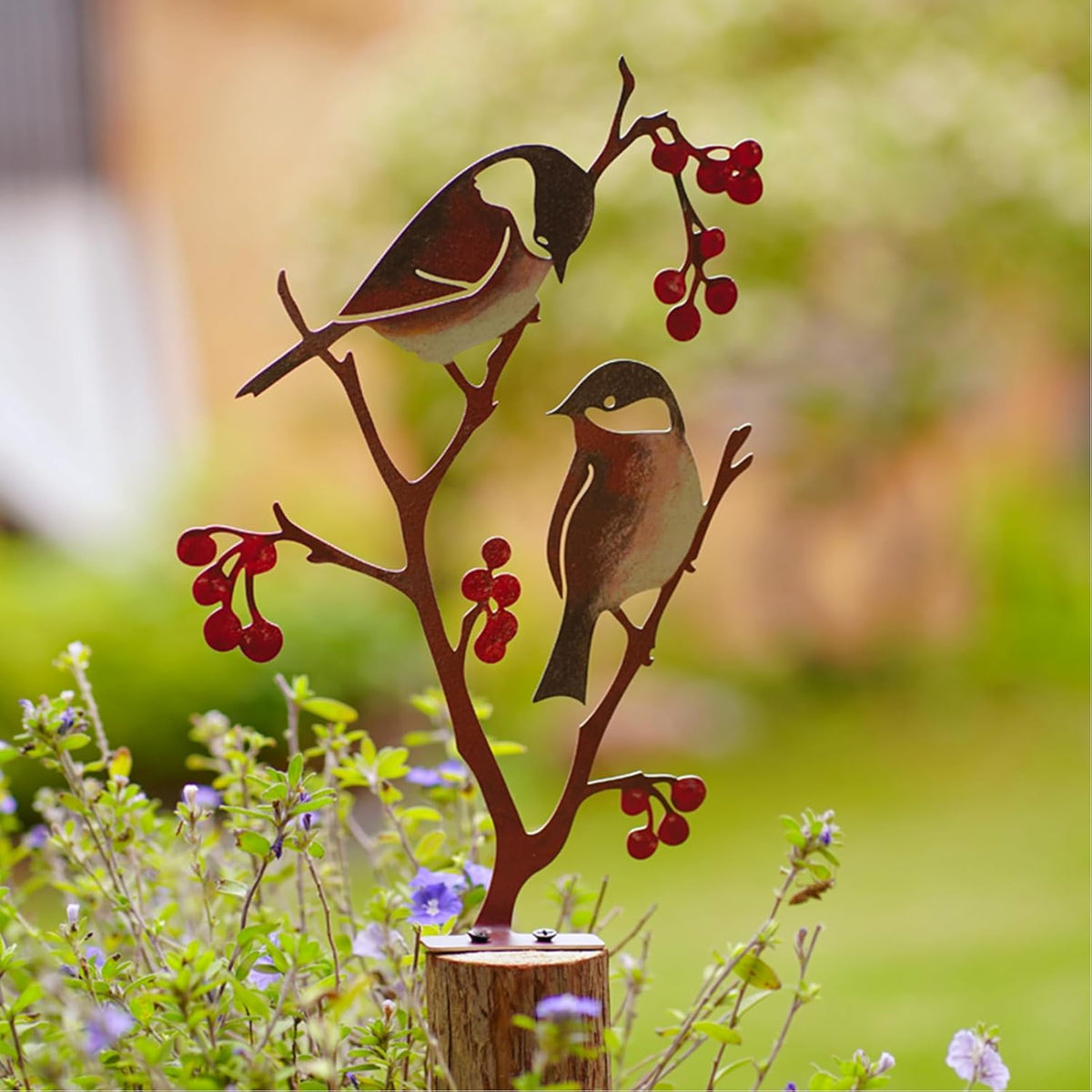 BerryBirds