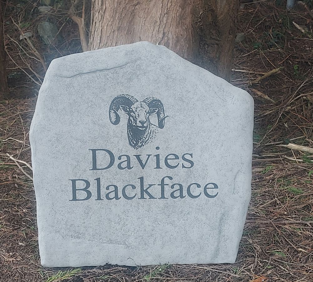 Custom Stone